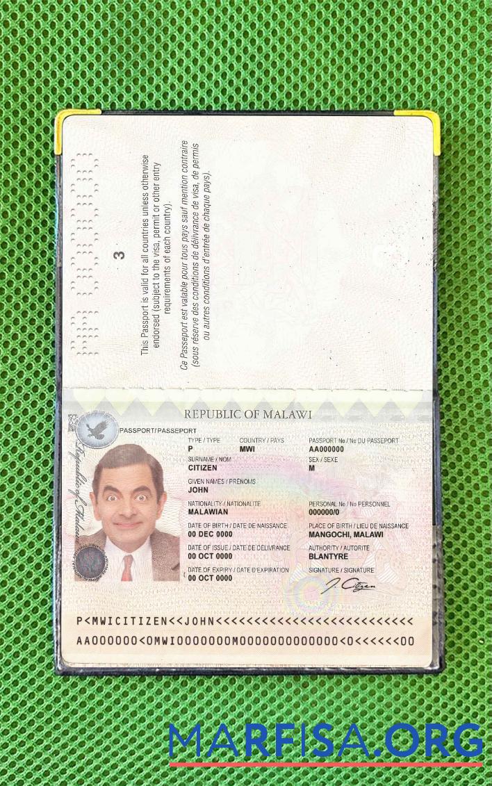 Realistic Malawi passport photo look download for verification